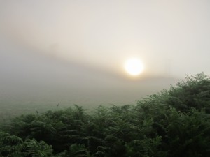 IMG_2548