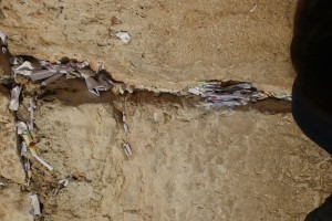 P1050253