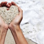 Only Love