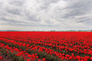 polskainaczej